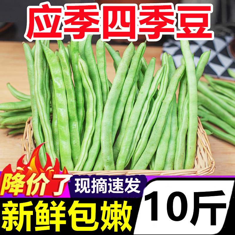 云南特产现摘四季豆10斤新鲜应当季蔬菜豌豆芸豆扁豆农家豆角包嫩