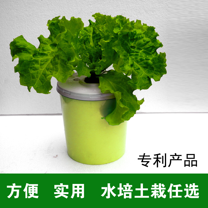 无土栽培蔬菜设备阳台水培系统家庭室内种菜桶花盆塑料容器皿