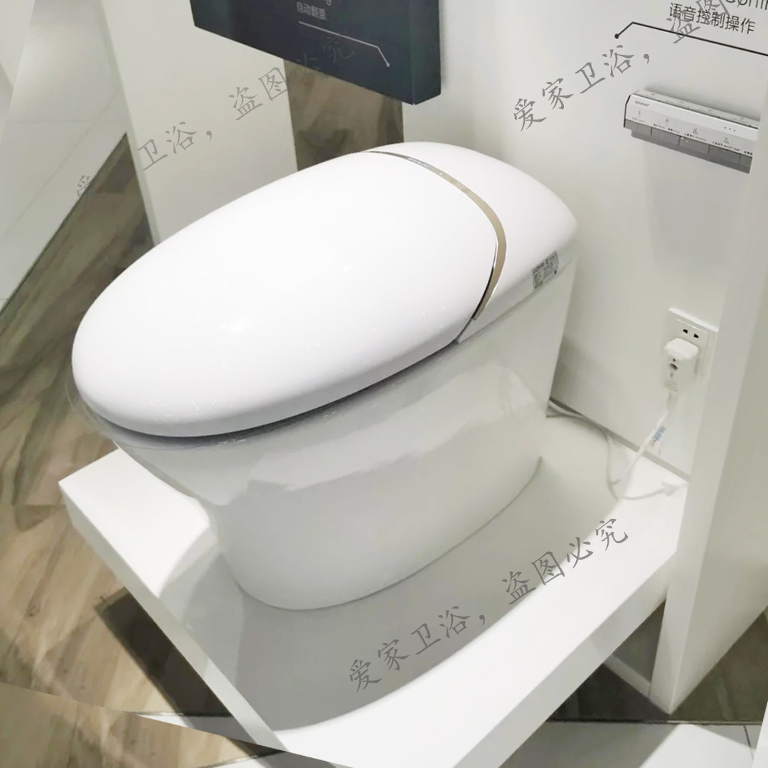 德国贝朗卫浴新款卫生间厕所家用一体式智能坐便器马桶C21275W-3B