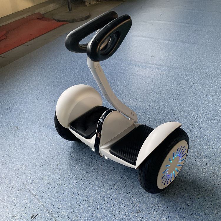 源头工厂带扶杆电动自平衡s车双轮成年学生10寸儿童两轮智能代步