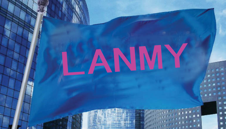 LANMY牌即热式智能电动马桶盖助便盖孕妇器坐便器妇洗器厂家正品