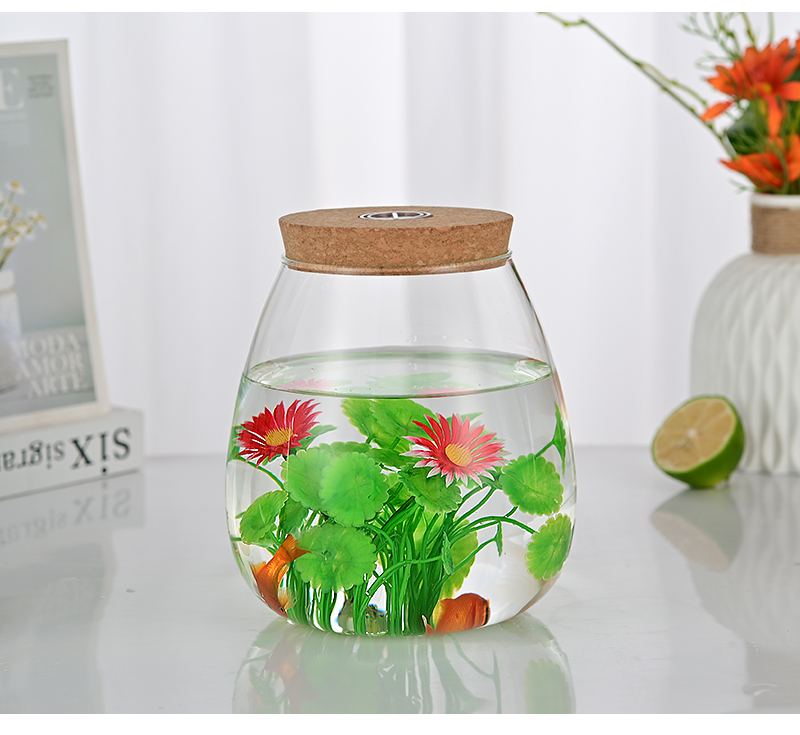 包邮透明花盆鱼缸广口高硼硅耐热玻璃微景观造景多肉植物摆台花瓶