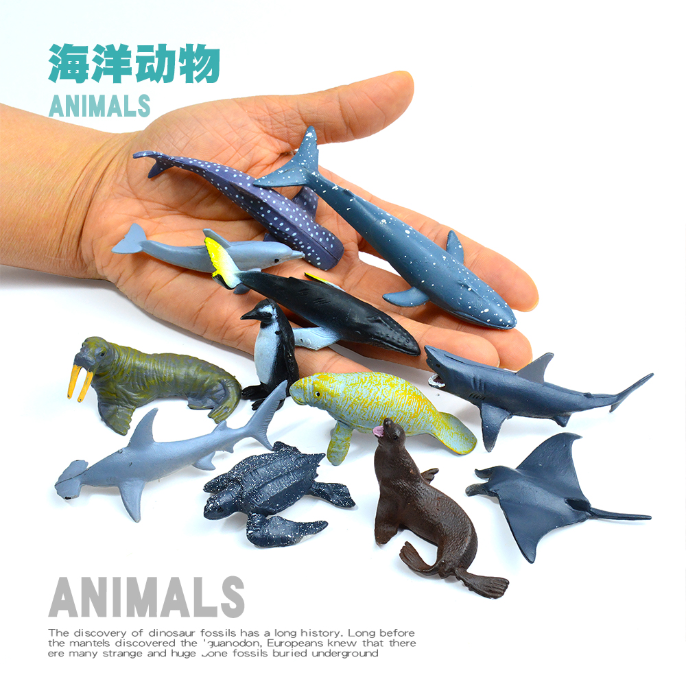 认知仿真海洋世界动物模型海狮海豹海象海牛鲸鱼鲨鱼蓝鲸摆件玩具