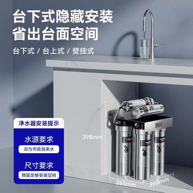 德国德克西净水器家用直饮厨房自来水前置过滤器奶茶店商用净水机