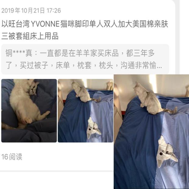 以旺台湾YVONNE猫咪脚印单人双人加大美国棉三件被套用品顺丰包邮